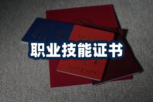 职业技能培训证书